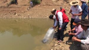 Alcaldía entregó 2 mil alevines de peces carpa en la comunidad de San Pedro de Buena Vista