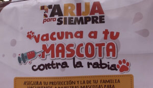 Alcaldía de Tarija prevé vacunar contra la rabia a 80 mil canes y felinos domésticos y callejeros
