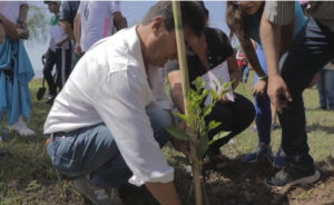 Alcaldía de Tarija continúa arborizando y reforestando diferentes zonas de la ciudad
