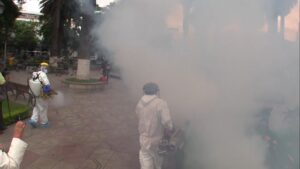 Alcaldía de Tarija declara “alerta naranja” por proliferación del dengue