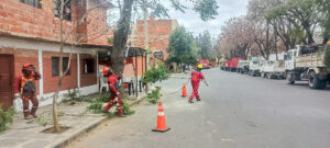 Alcaldía de Tarija realizó 8.600 podas en beneficio de los vecinos.