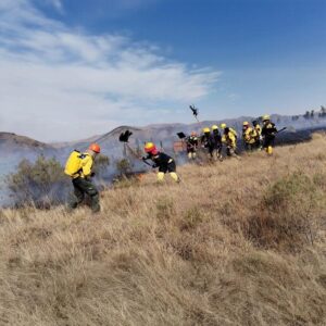 ALERTA EN TARIJA: OCHO GUARDAPARQUES CUSTODIAN MÁS DE 100 MIL HECTÁREAS ANTE INCENDIOS