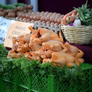 Sobreoferta de pollo baja los precios y afecta a productores